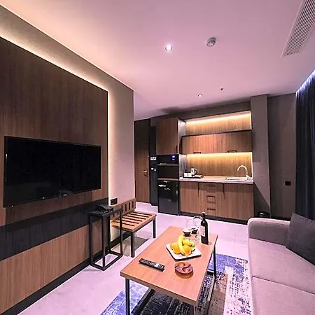 Hotel The Kailyn Hotels&suites Atasehir 4*